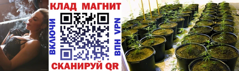 Как найти закладки Гурьевск Alpha-PVP Кокаин Меф мяу мяу Лсд 25 Канабис